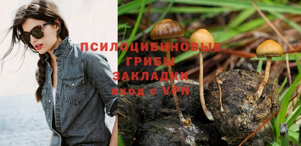 индика Белоозёрский