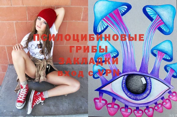 индика Белоозёрский