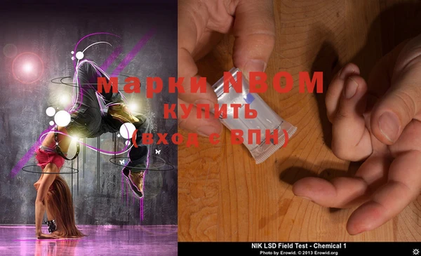 индика Белоозёрский