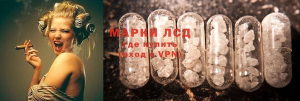 индика Белоозёрский