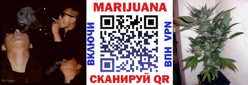 Купить где  Луга  Марихуана семена 